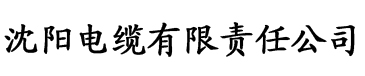 2021精品久久久久精品免费网电缆厂logo